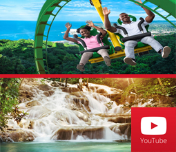 jamaica tours limited services